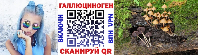 Псилоцибиновые грибы мицелий  ОМГ ОМГ рабочий сайт  Лебедянь 
